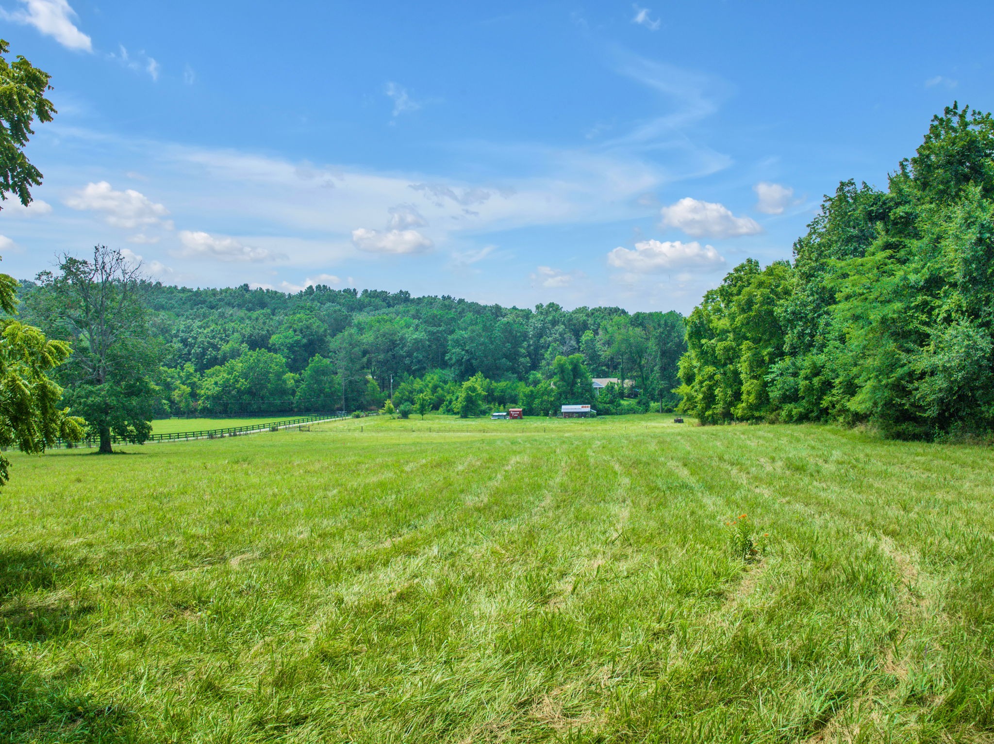 5536 Hickory Ridge Road Lebanon, TN 37090 - Photo 8 of 13 a view of an outdoor space and yard