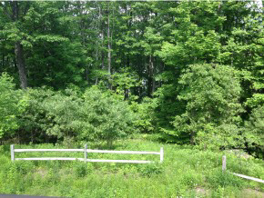 14 Birch Brae Grantham, NH 03753 - Photo 26 of 39 Gallery Image 26