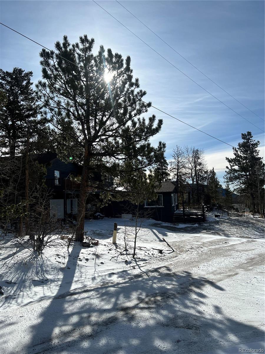 173 Evans View Drive Black Hawk, CO 80422 - Photo 14 of 15