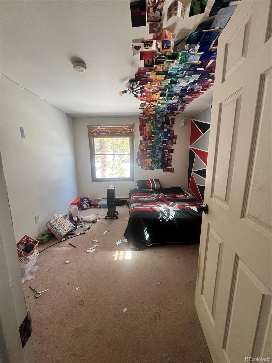 173 Evans View Drive Black Hawk, CO 80422 - Photo 9 of 15