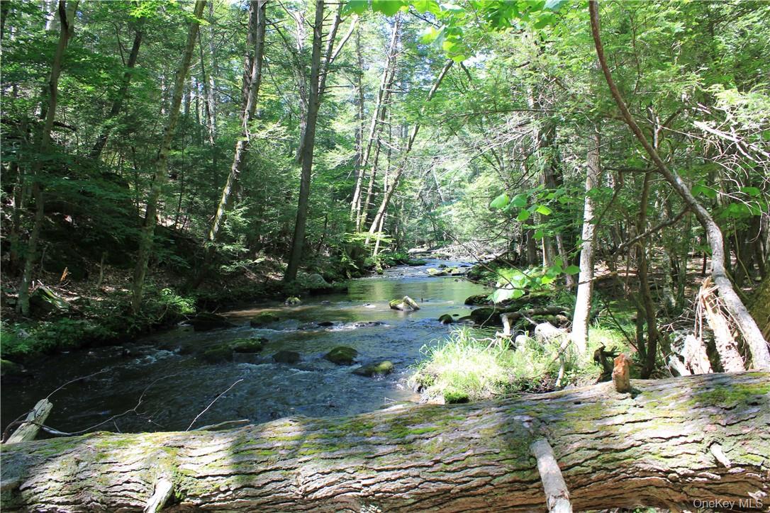 Rolling Meadow Lane Pound Ridge, NY 10576 - Photo 3 of 10