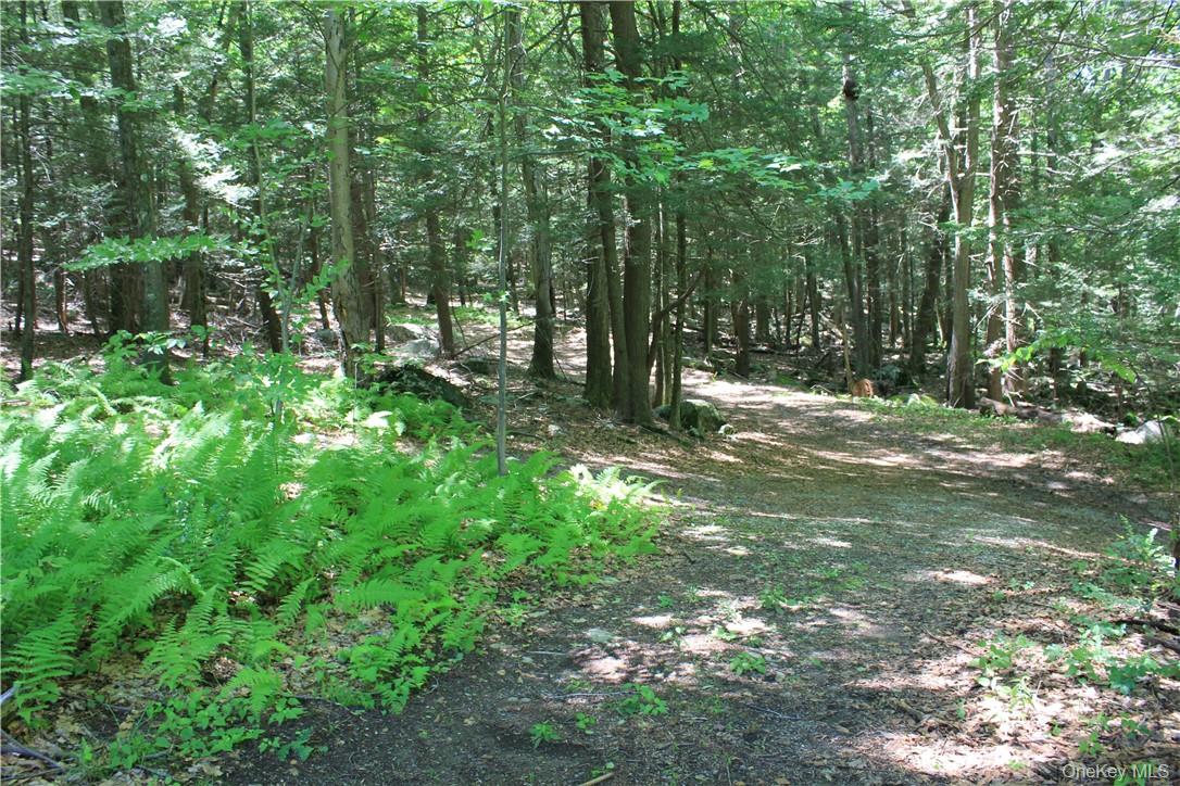Rolling Meadow Lane Pound Ridge, NY 10576 - Photo 4 of 10
