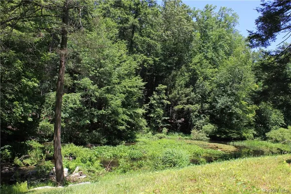 a view of a forest with trees
