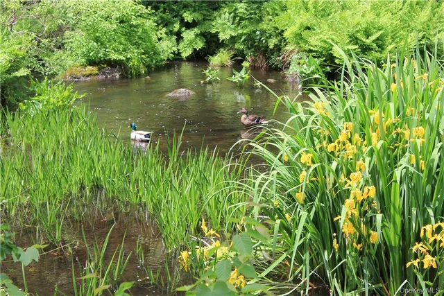 a view of a pathway of a garden