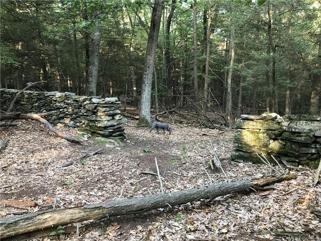 Rolling Meadow Lane Pound Ridge, NY 10576 - Photo 9 of 10