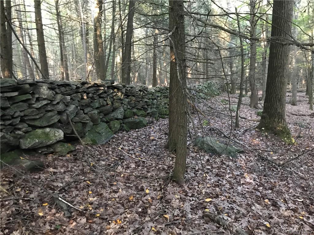 Rolling Meadow Lane Pound Ridge, NY 10576 - Photo 10 of 10