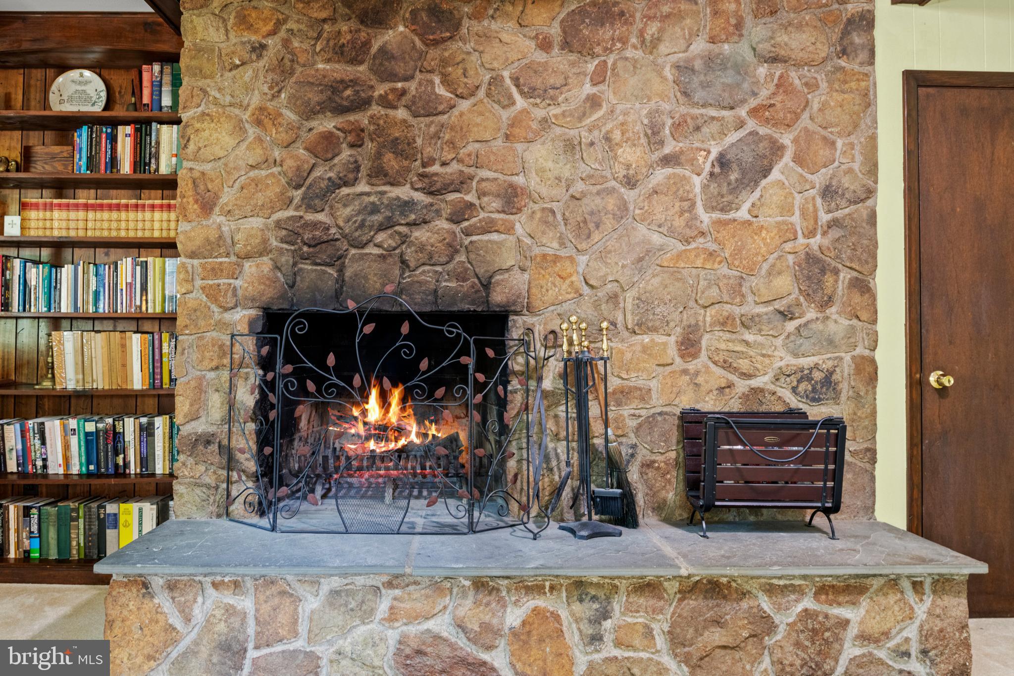6358 Georgetown Road Broad Run, VA 20137 - Photo 22 of 44 Stone FP in Family Room