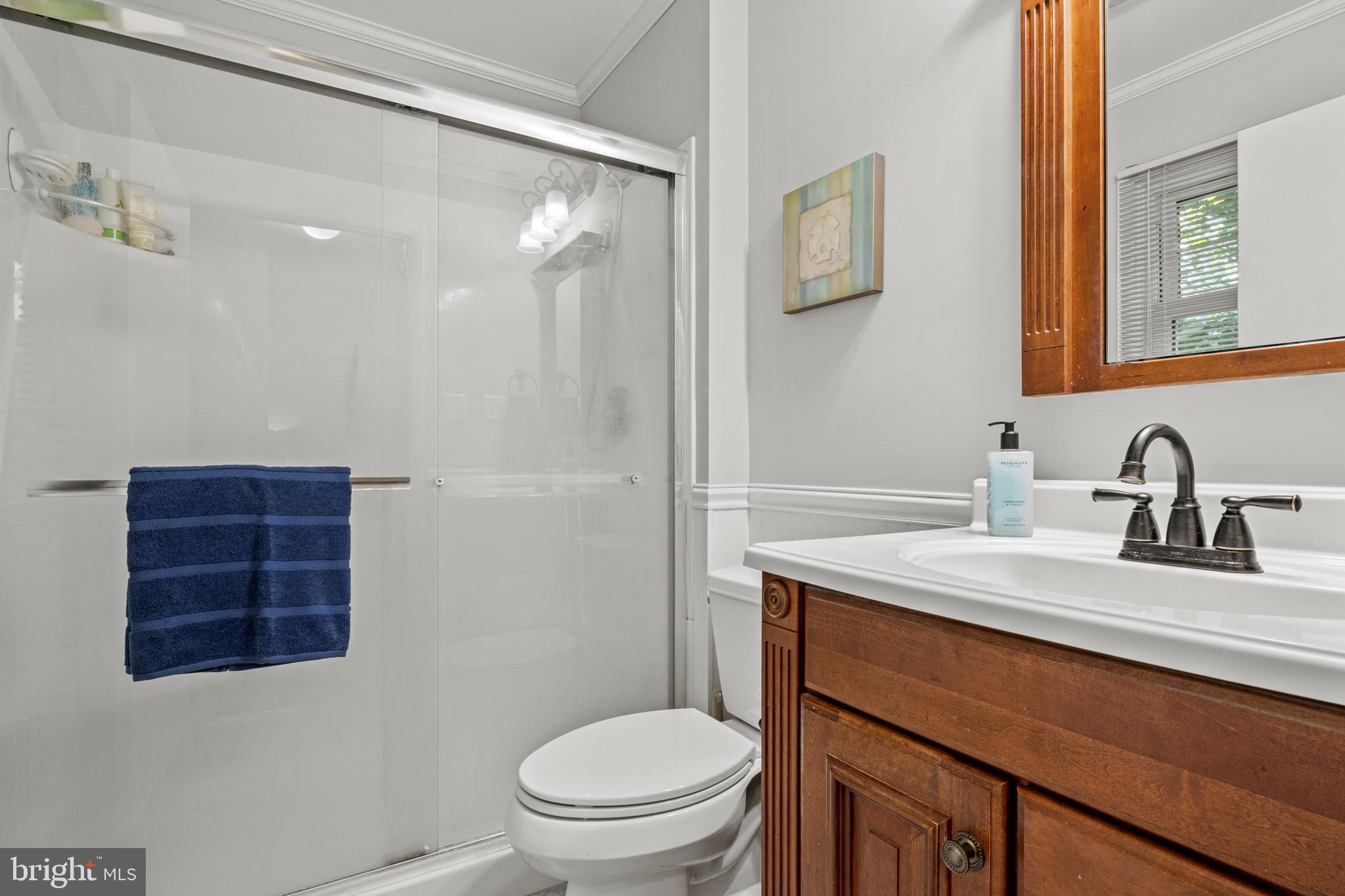 6358 Georgetown Road Broad Run, VA 20137 - Photo 33 of 44 Owner's Bath