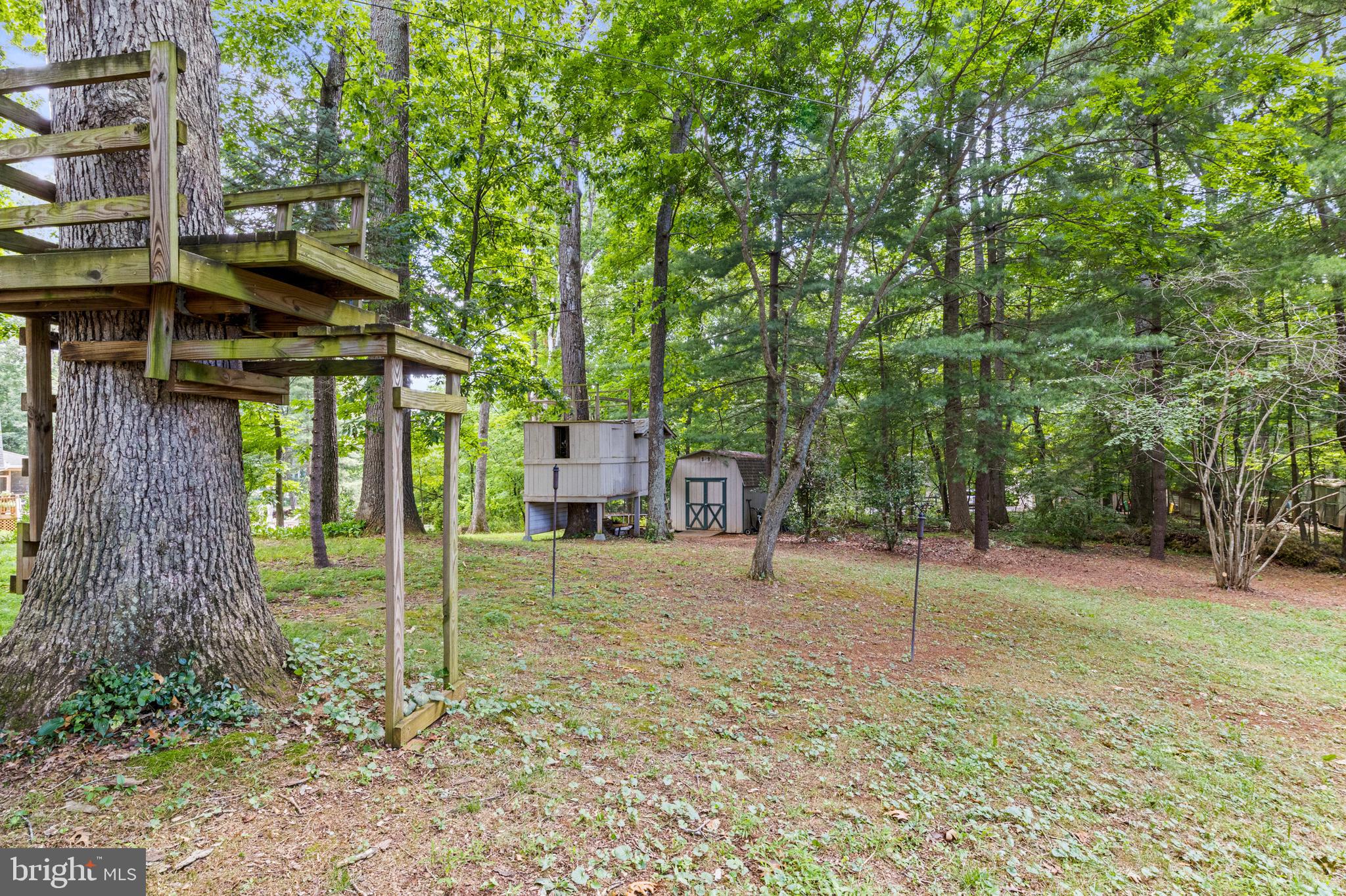 6358 Georgetown Road Broad Run, VA 20137 - Photo 41 of 44 Tree House