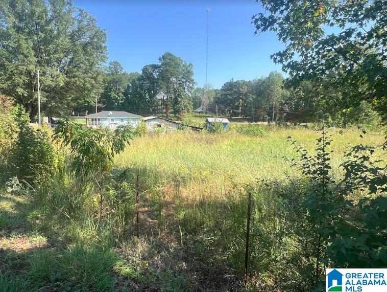 23400 East Highway 18 Berry, AL 35546 - Photo 16 of 18