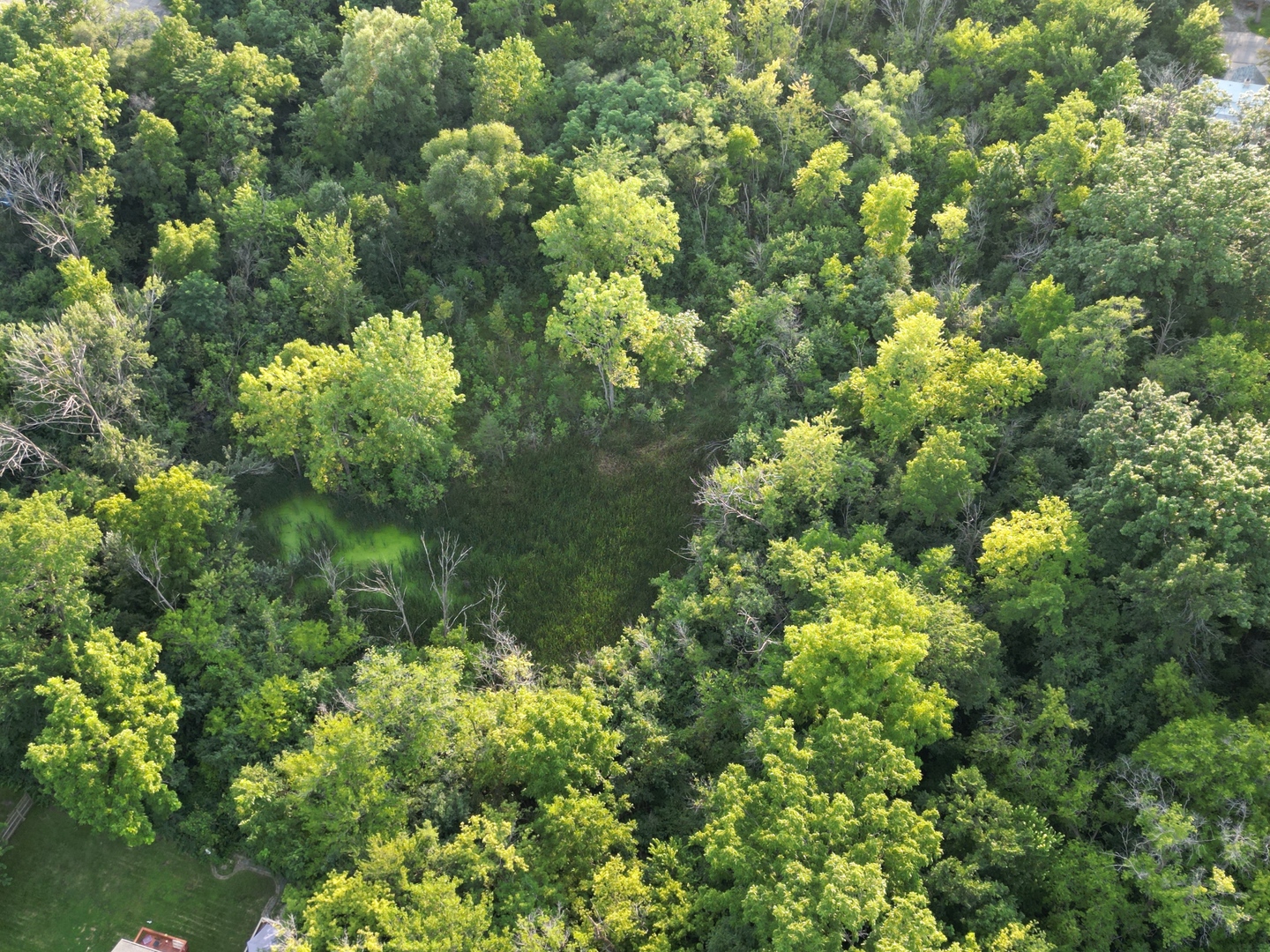 0 North Hainesville Road Round Lake Park, IL 60073 - Photo 9 of 10 Gallery Image 9