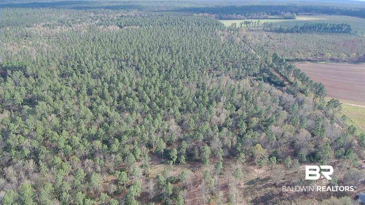 3 Red Cloud Road Baker, FL 32531 - Photo 9 of 14