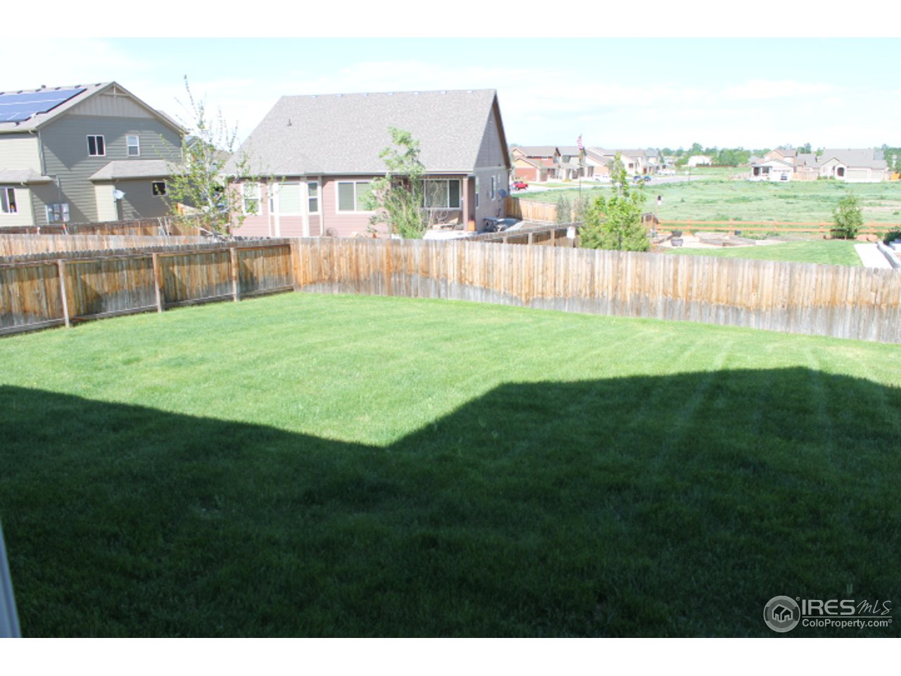 8612 Raspberry Drive Frederick, CO 80504 - Photo 3 of 18