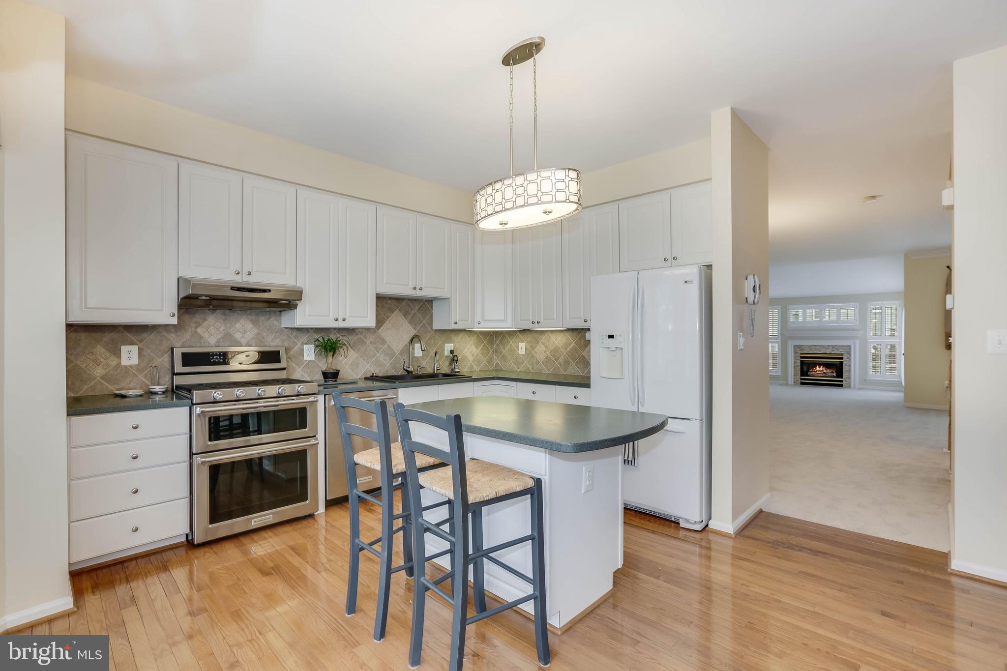 44036 Rising Sun Terrace Ashburn, VA 20147 - Photo 16 of 34 Gallery Image 16