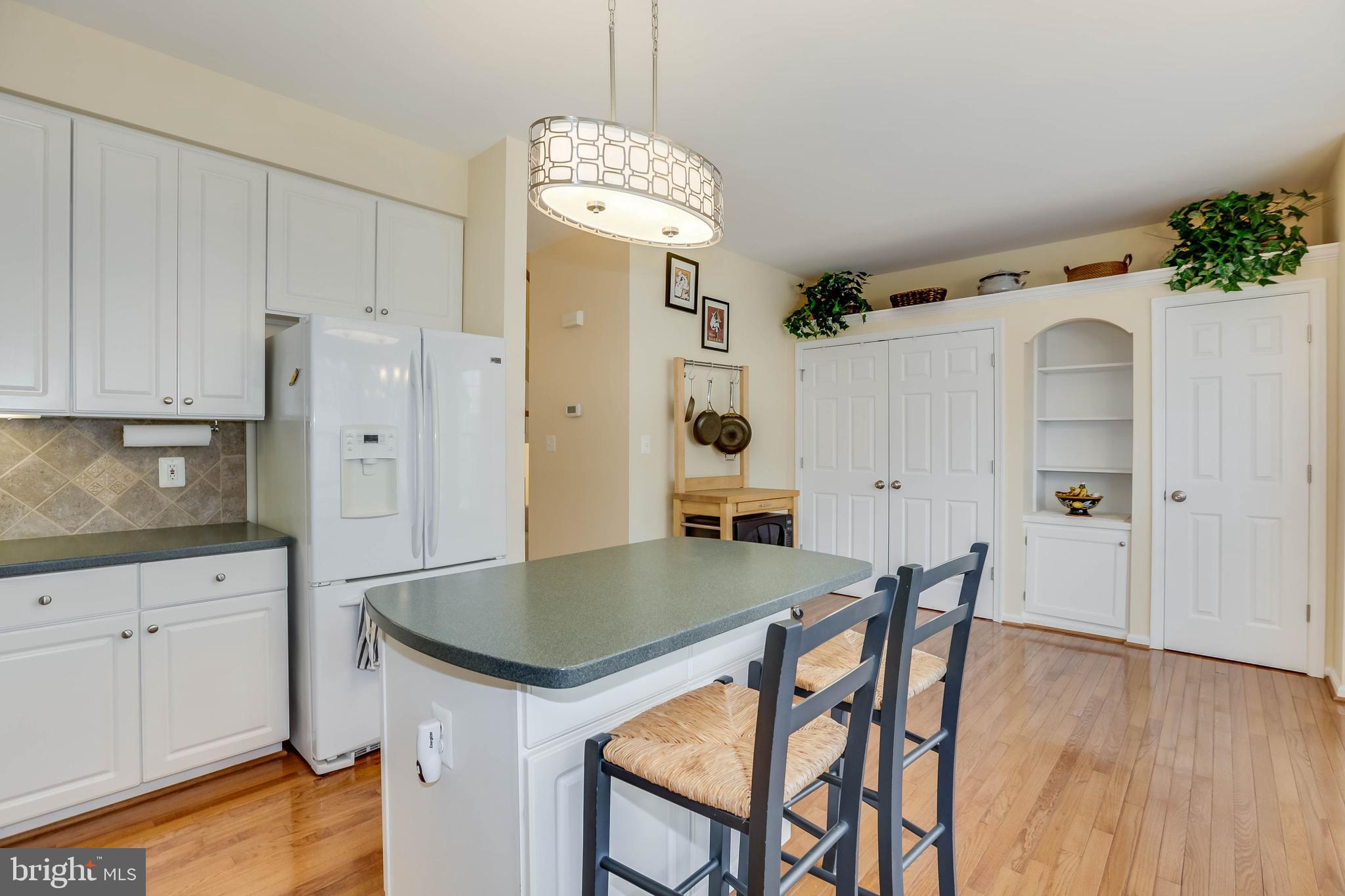 44036 Rising Sun Terrace Ashburn, VA 20147 - Photo 17 of 34 Gallery Image 17
