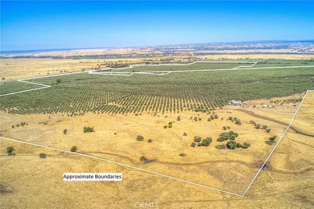 a view of an ocean and beach