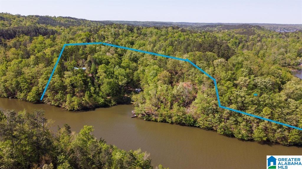 517 Indian Springs Road Rockford, AL 35136 - Photo 31 of 39
