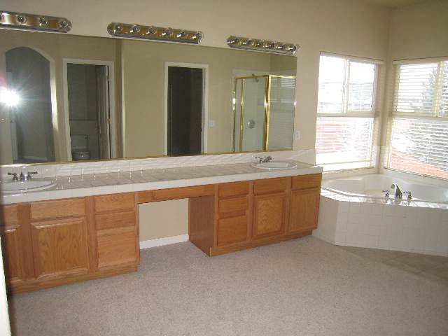 714 Gold Run Court Reno, NV 89521 - Photo 9 of 9 a bathroom with a sink mirror and a bathtub