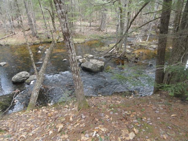 38 Wint Road Harrison, ME 04040 - Photo 34 of 34 From the walking trail over the brook