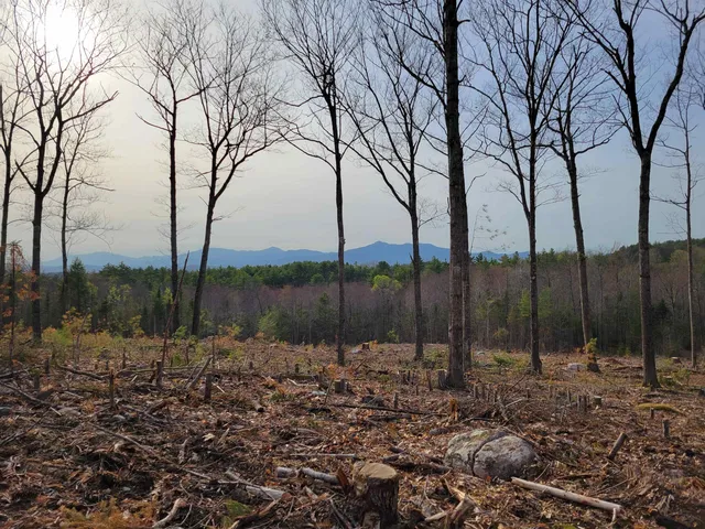 $375,000 | 238-1-1 Maple Grove Road, Madison, NH 03849