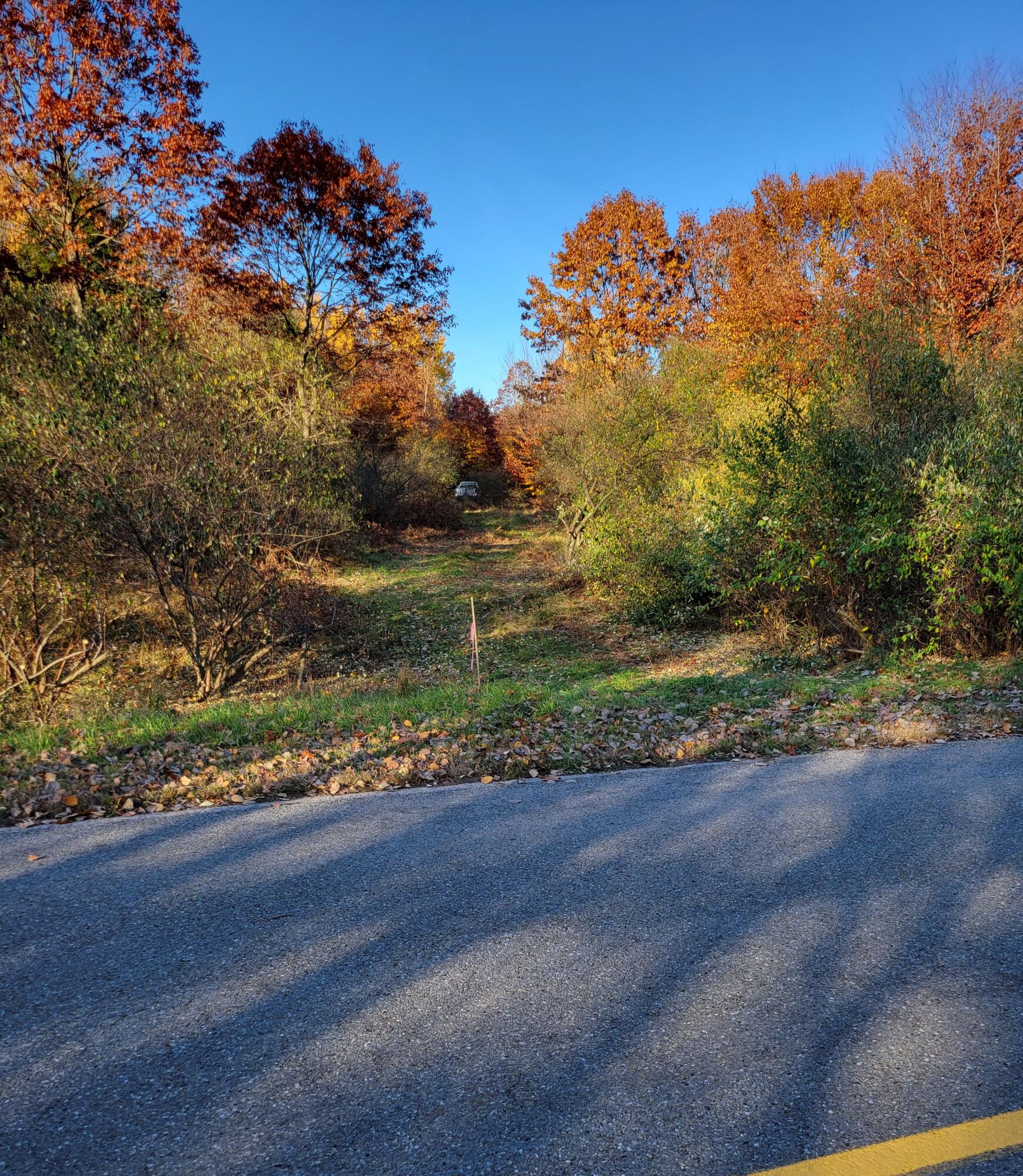 Smith Road Onekama, MI 49675 - Photo 11 of 27 Toward north corner