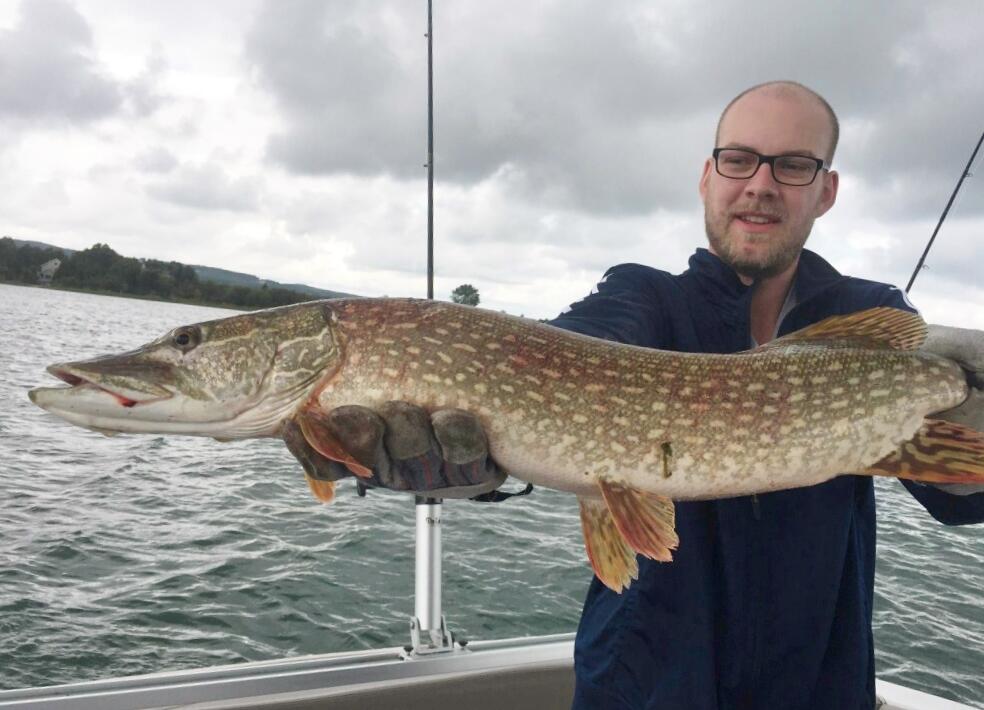 Smith Road Onekama, MI 49675 - Photo 25 of 27 Pike on Portage Lk