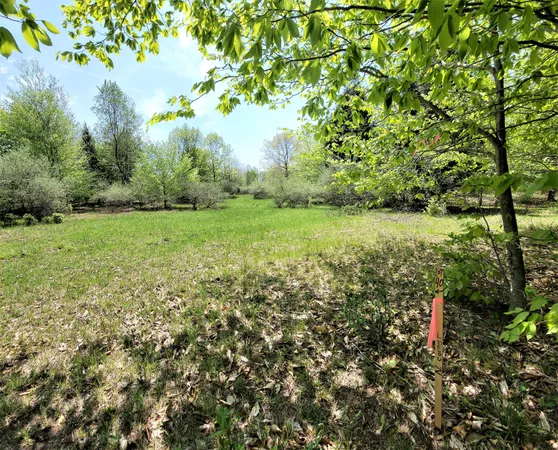 $29,500 | Smith Road, Onekama, MI 49675