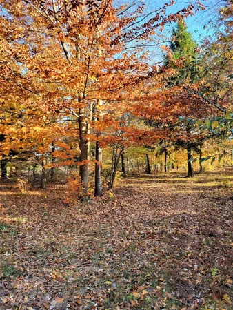 $29,500 | Smith Road, Onekama, MI 49675