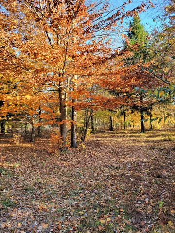 $29,500 | Smith Road, Onekama, MI 49675