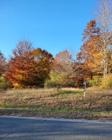 $29,500 | Smith Road, Onekama, MI 49675