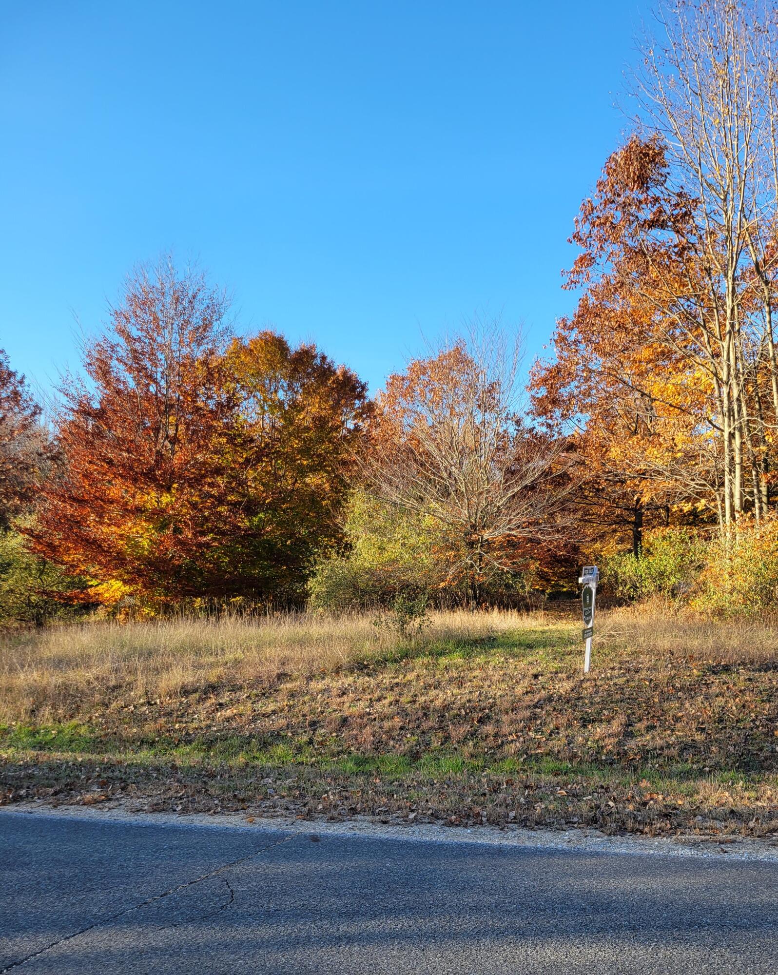 Smith Road Onekama, MI 49675 - Photo 9 of 27 North from S. middle