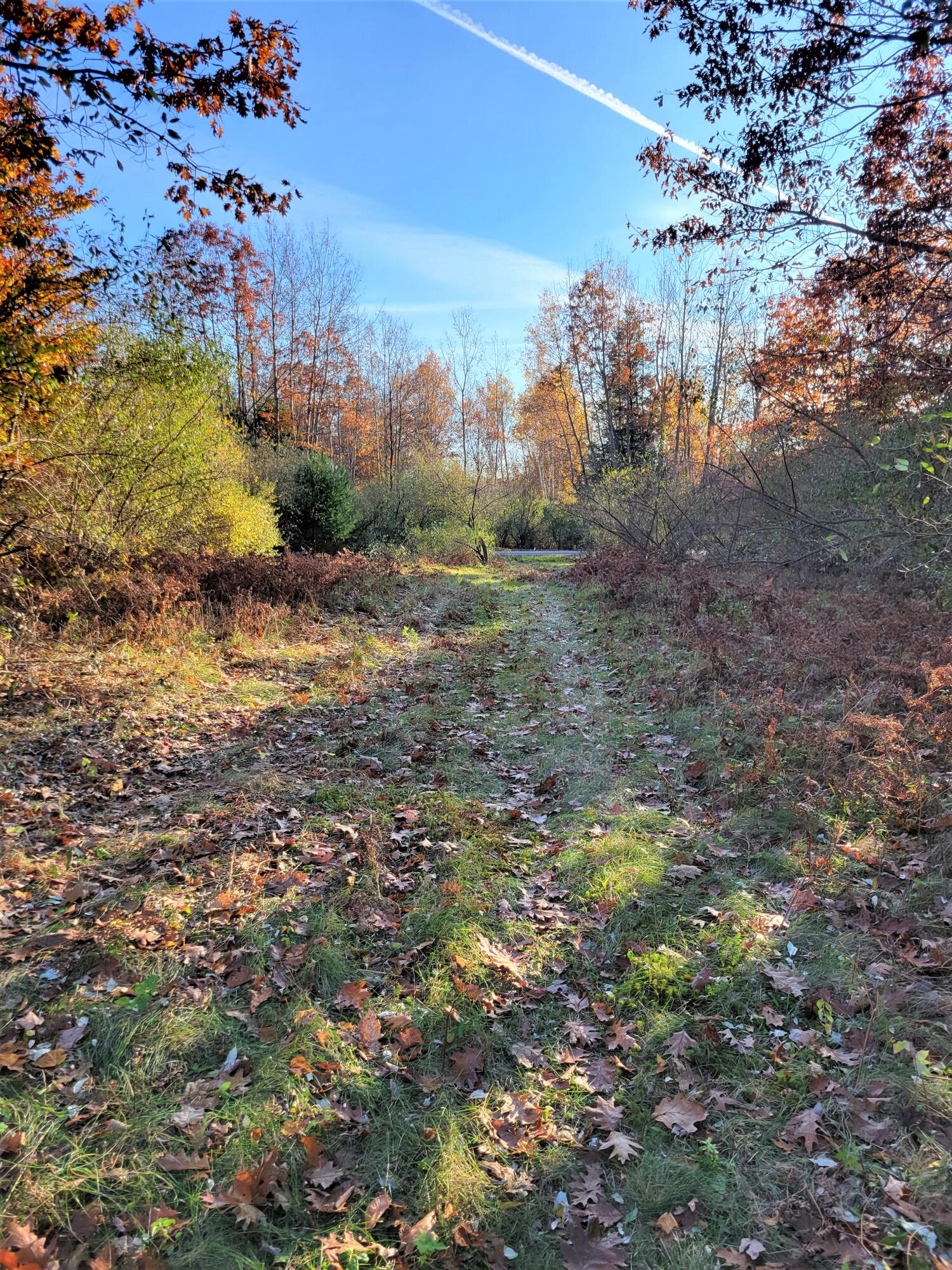 Smith Road Onekama, MI 49675 - Photo 10 of 27 South toward Smith Rd