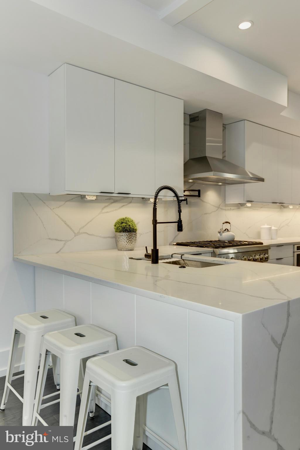 1817 Vernon Street Northwest, Unit 3 Washington, DC 20009 - Photo 6 of 28 Waterfall Countertops