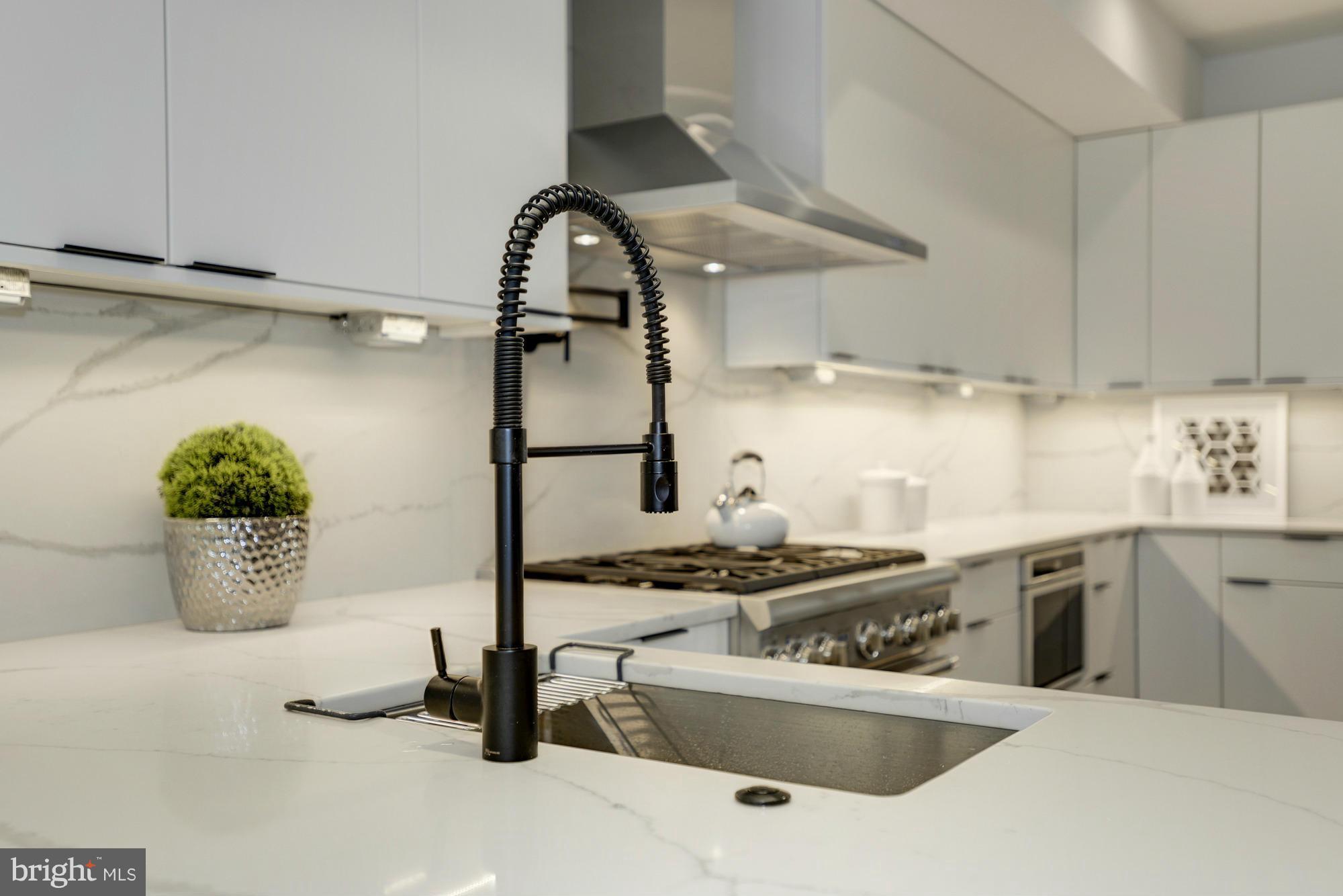 1817 Vernon Street Northwest, Unit 3 Washington, DC 20009 - Photo 8 of 28 Chef's Kitchen