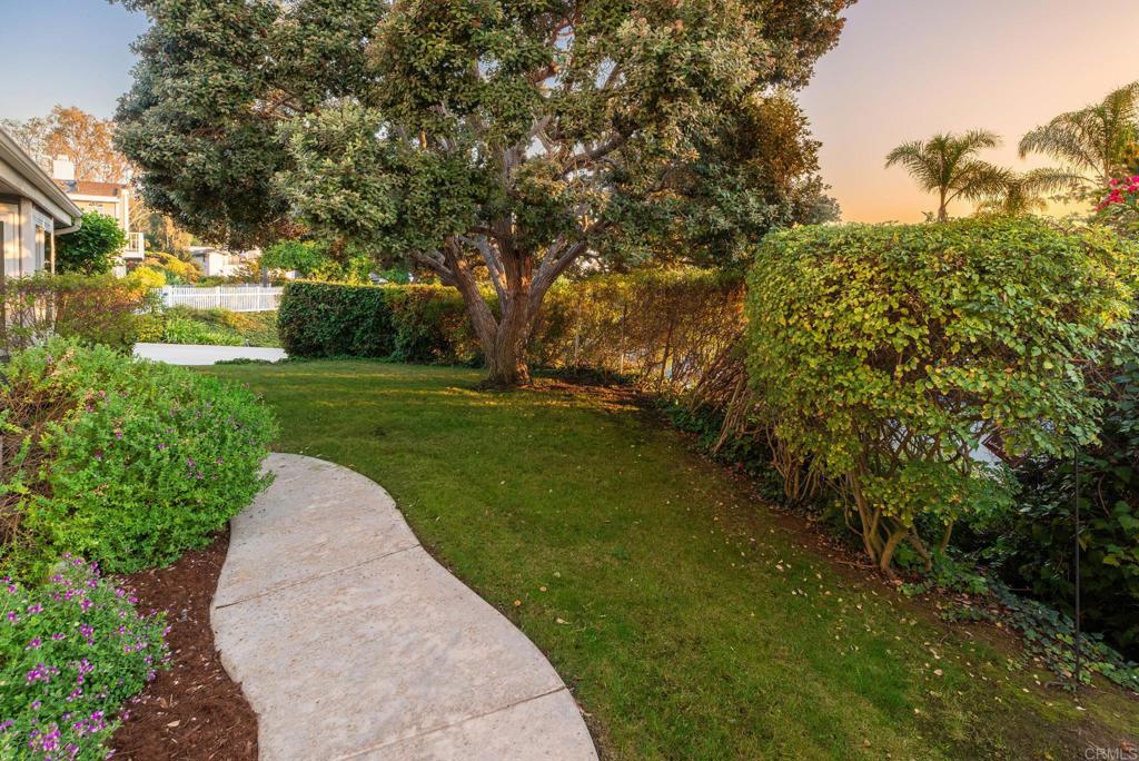 2515 Luciernaga Street Carlsbad, CA 92009 - Photo 41 of 58 a view of a park with plants and trees