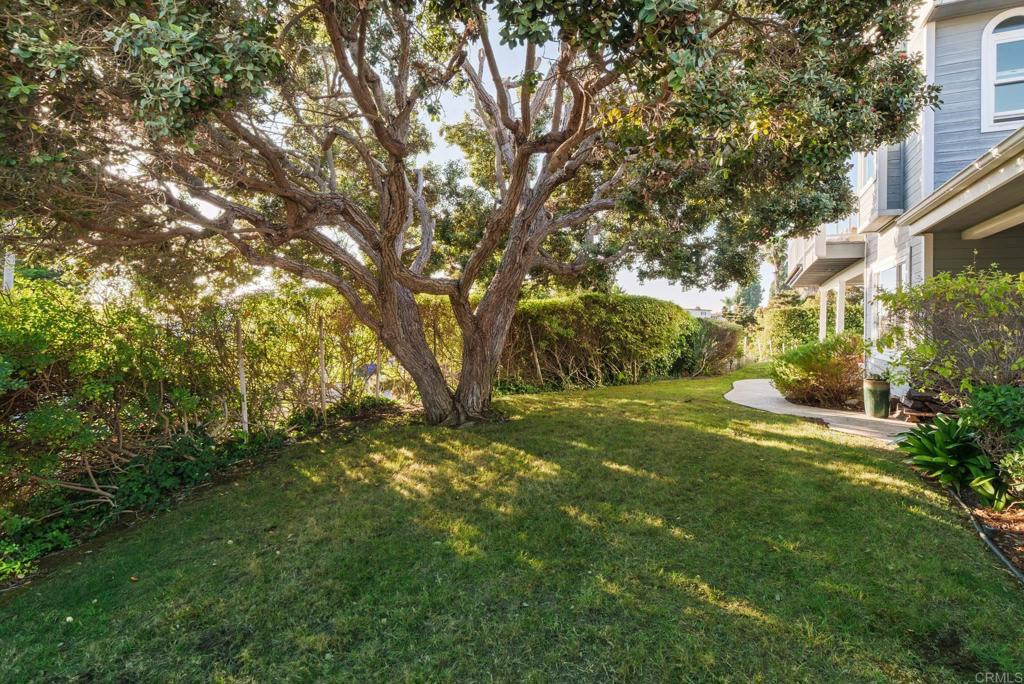 2515 Luciernaga Street Carlsbad, CA 92009 - Photo 42 of 58 a view of a yard with plants and trees