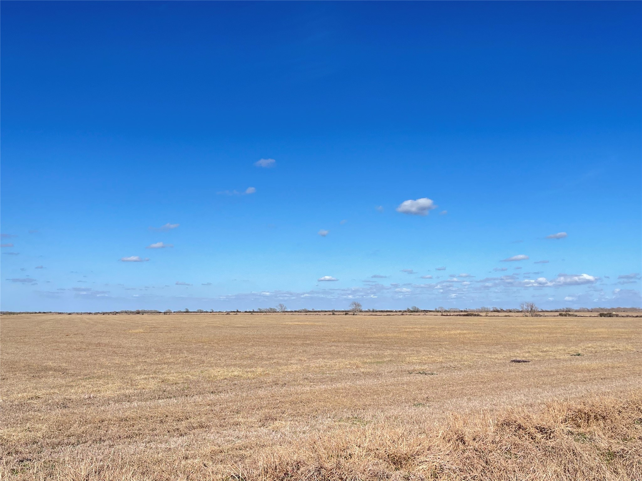 768 Million Dollar Road Palacios, TX 77465 - Photo 49 of 49