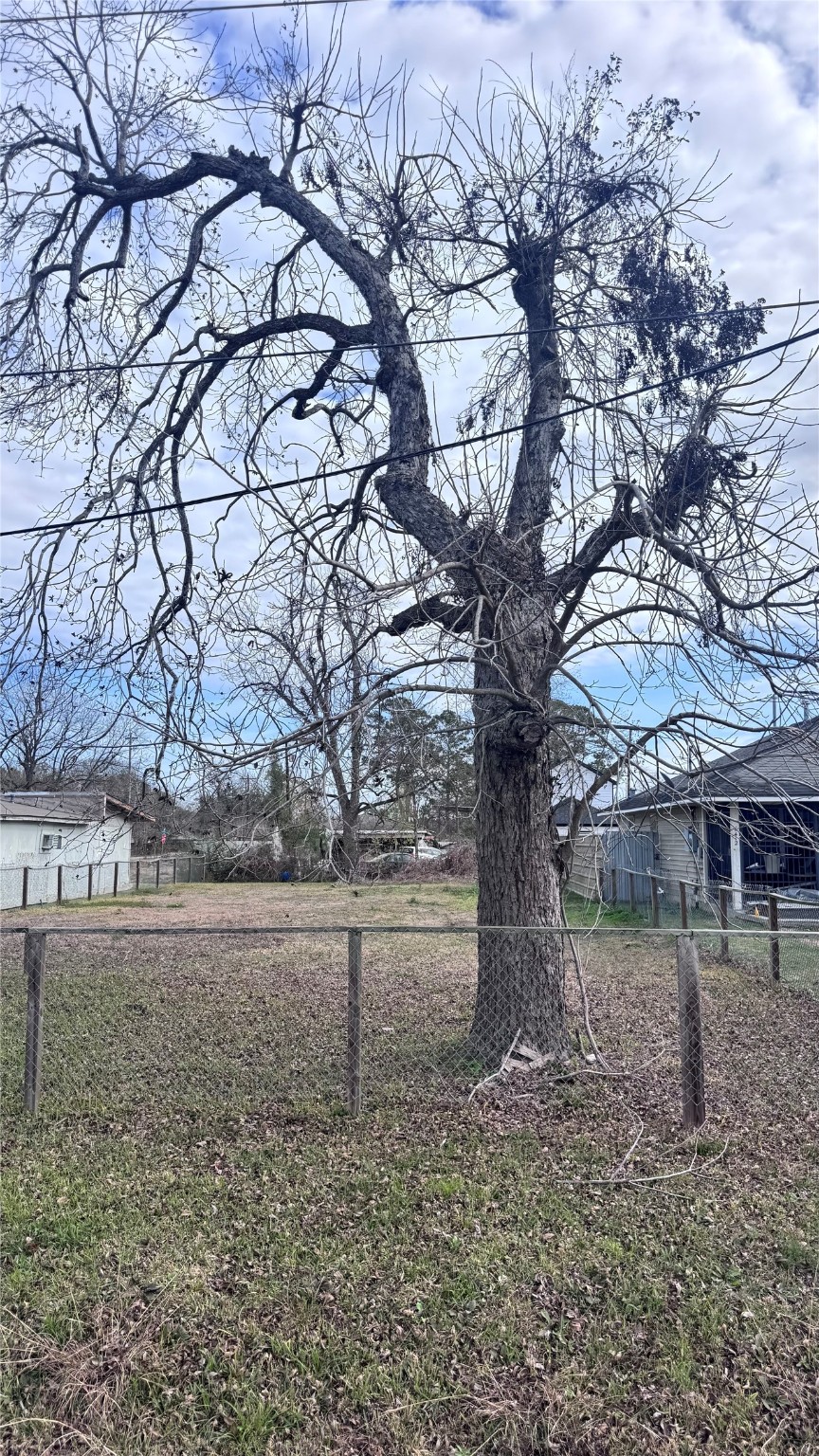6414 Haight Street Houston, TX 77028 - Photo 4 of 7 a backyard of a house with lots of green space
