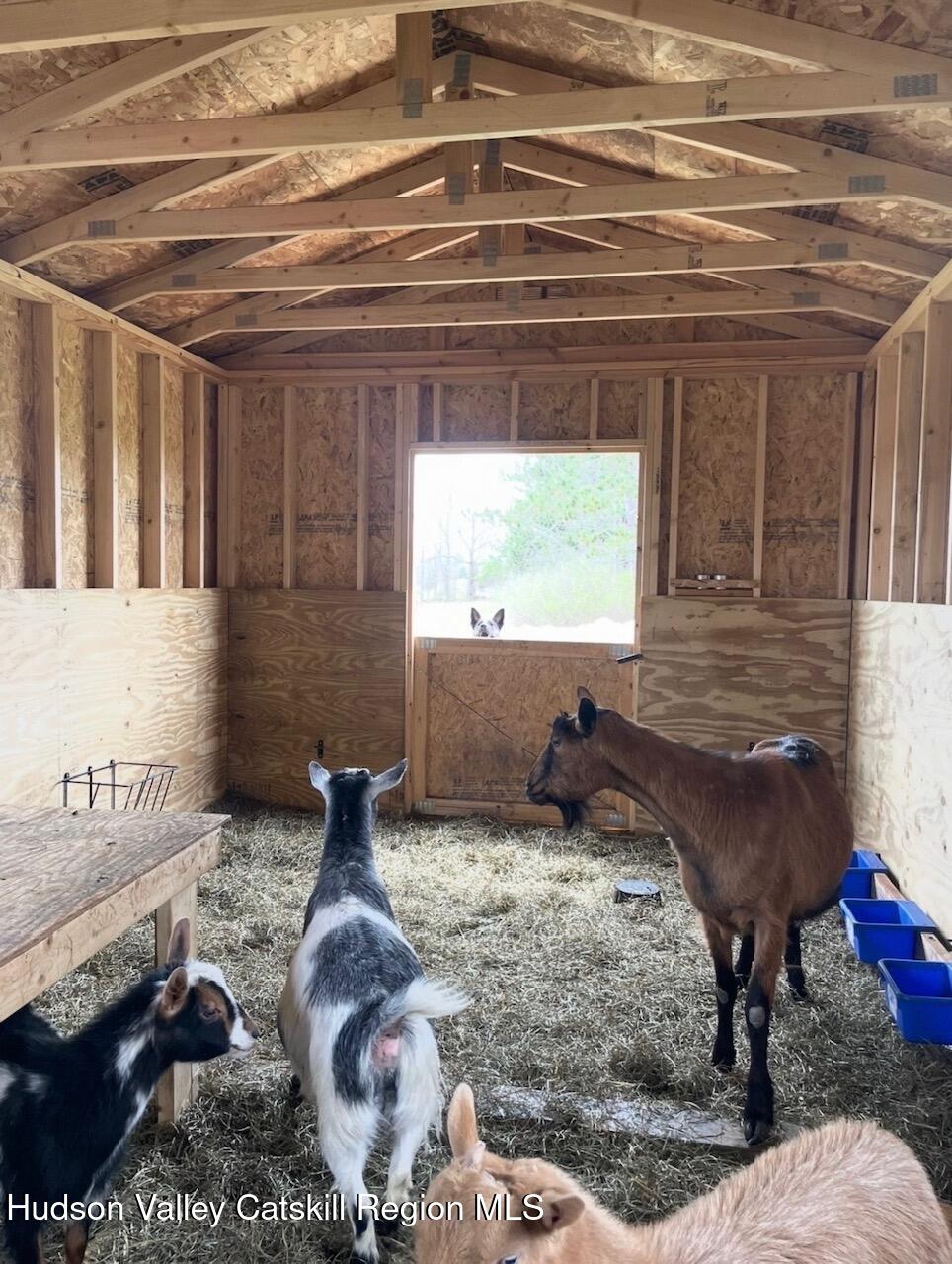 929 Patria Road Warnerville, NY 12187 - Photo 36 of 50 IMG_9030