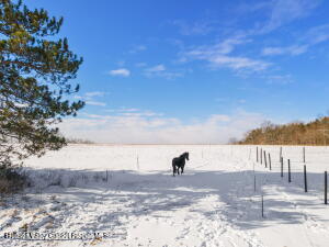 929 Patria Road Warnerville, NY 12187 - Photo 38 of 50 20251209014046864793000000