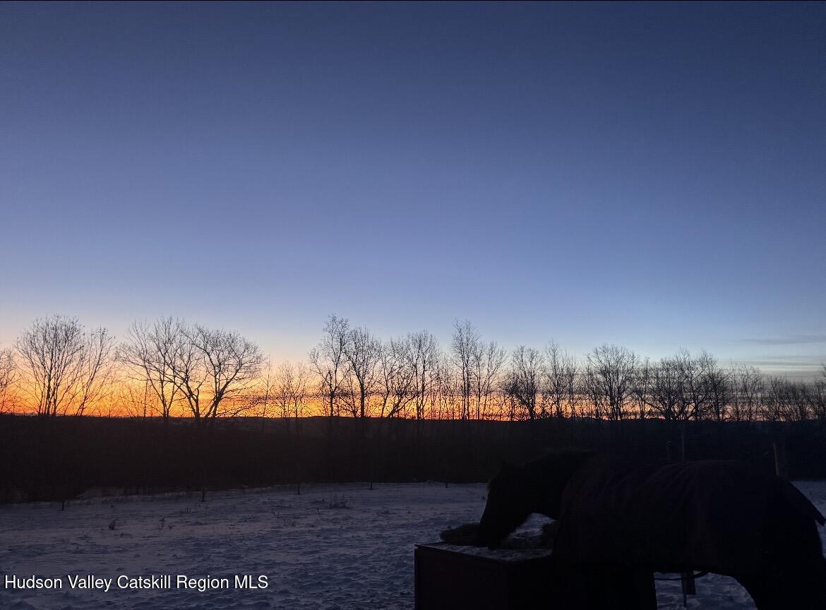 929 Patria Road Warnerville, NY 12187 - Photo 47 of 50 63