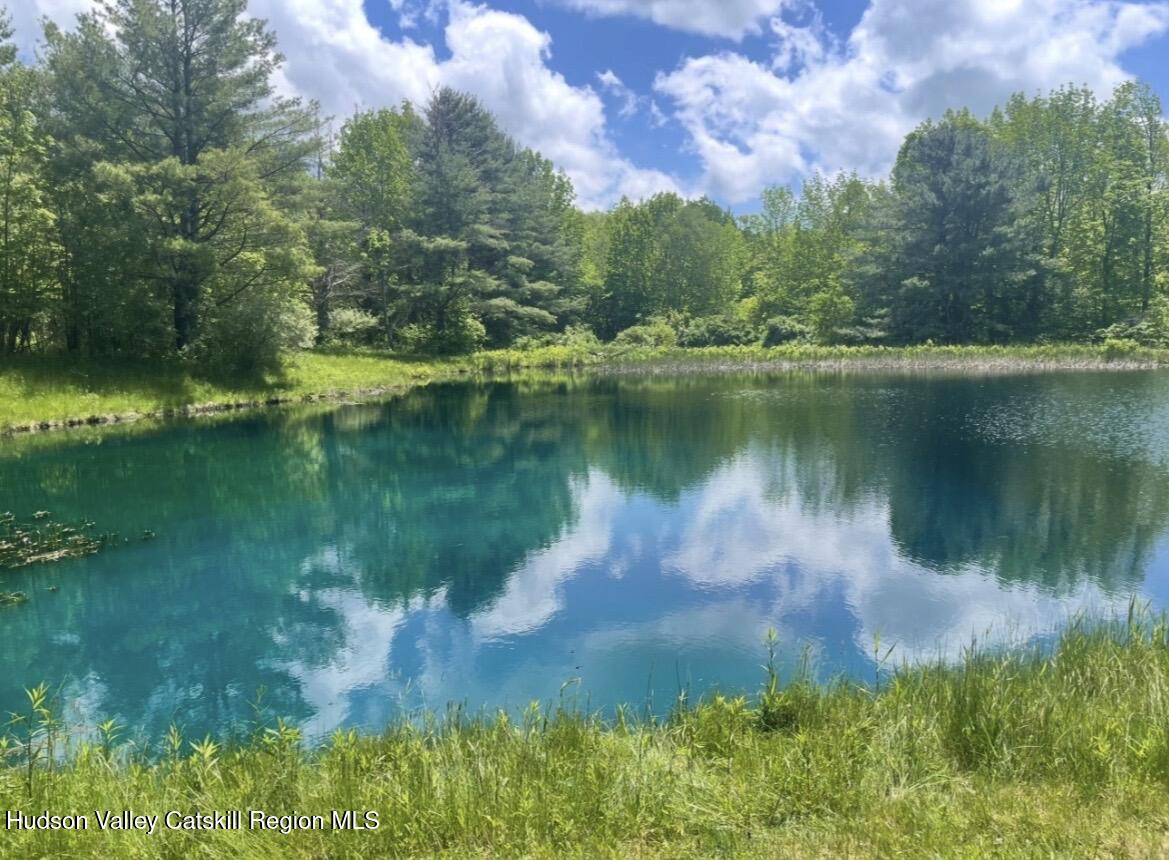 929 Patria Road Warnerville, NY 12187 - Photo 50 of 50 IMG_9033