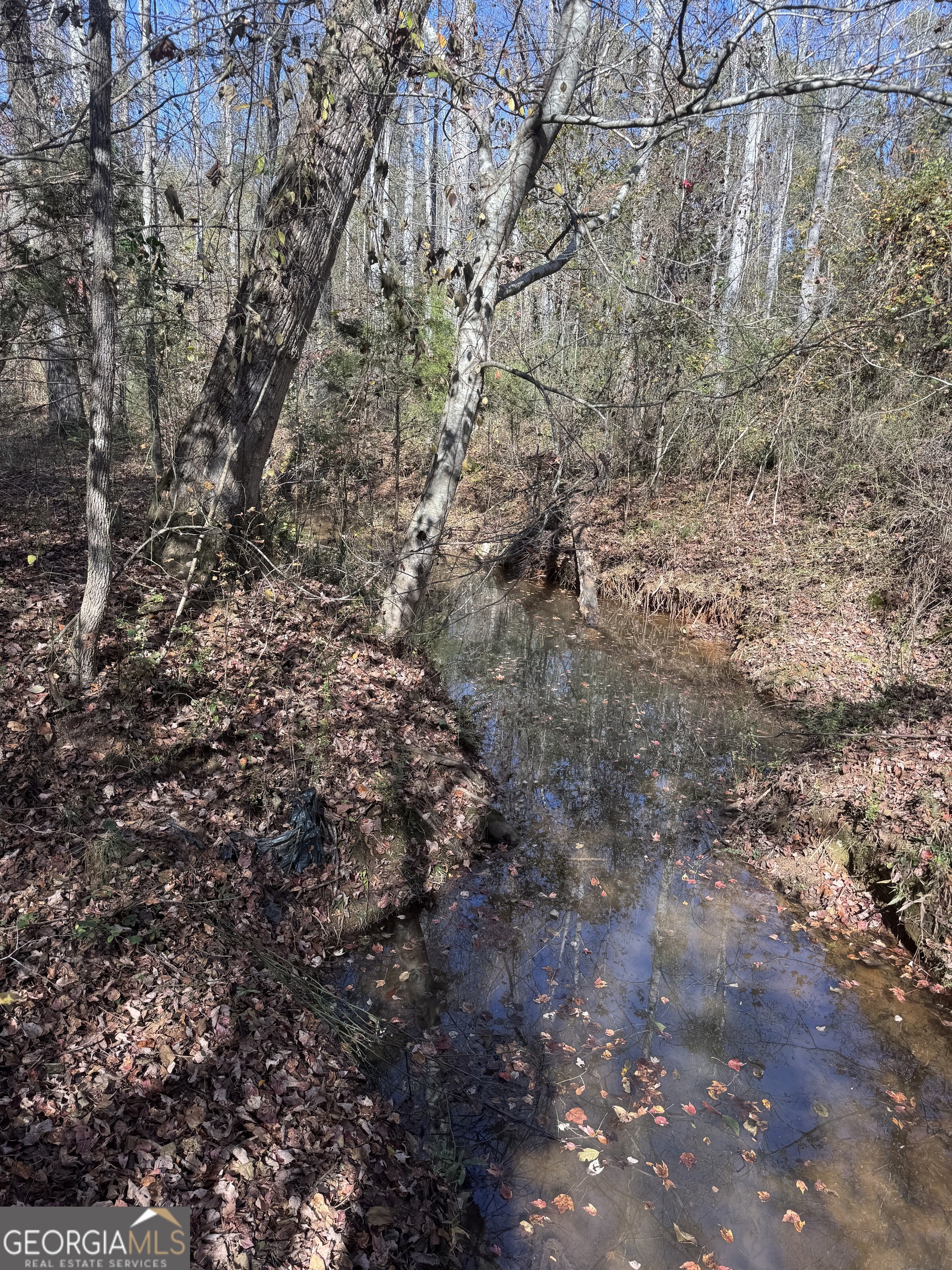151 West Drummond Road West Point, GA 31833 - Photo 5 of 10 a view of a yard with a tree