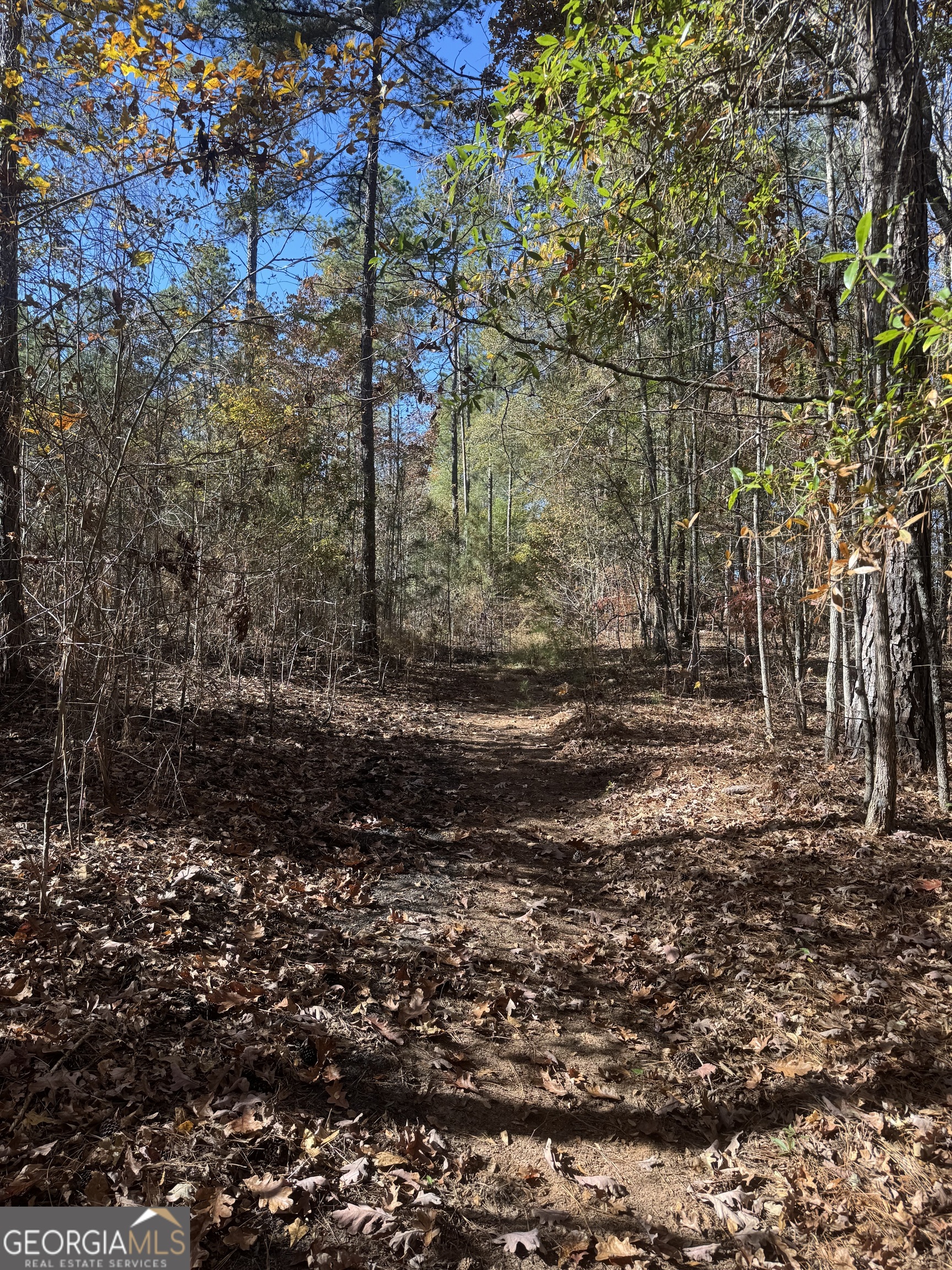 151 West Drummond Road West Point, GA 31833 - Photo 7 of 10 a view of a yard with trees