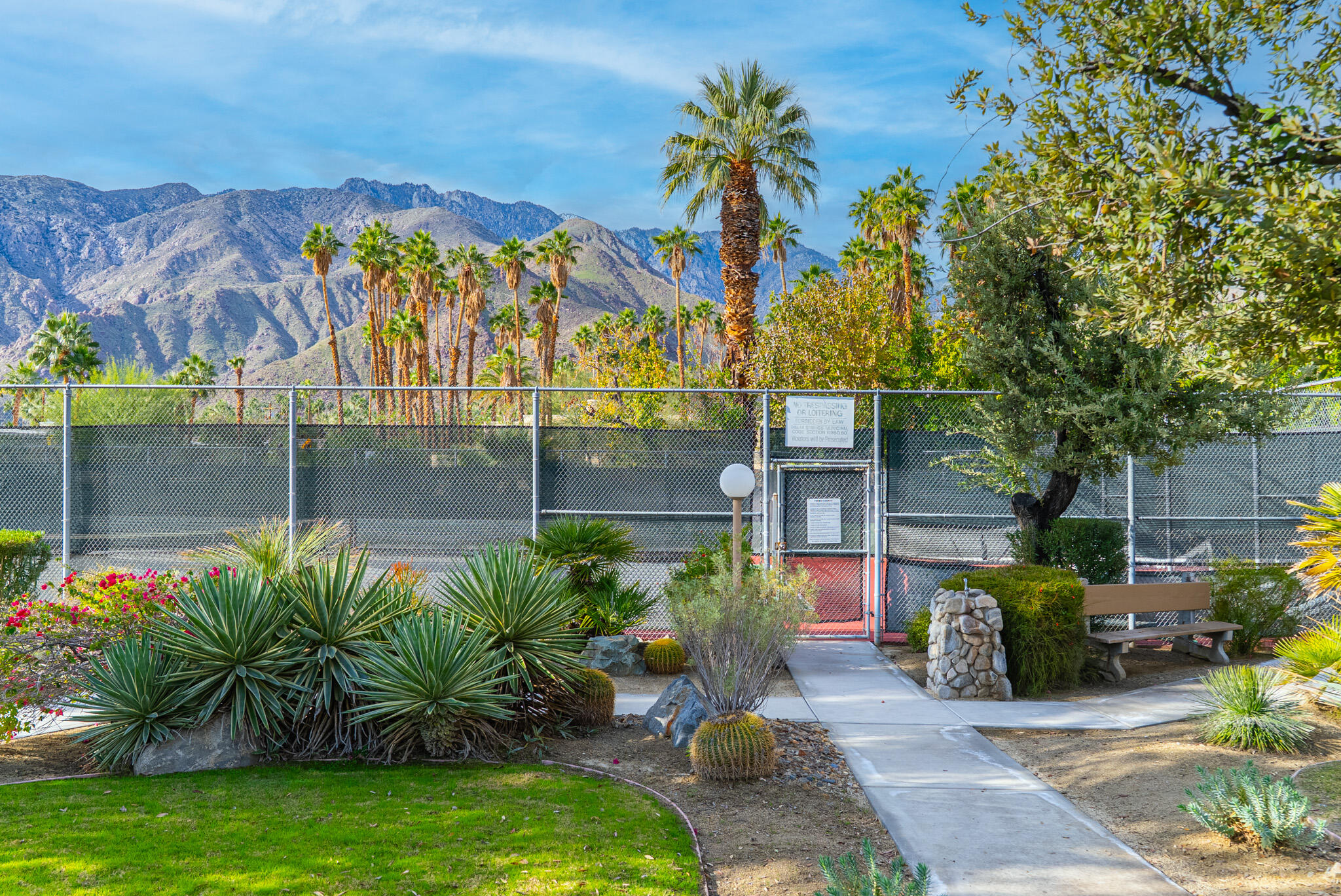 343 West Mariscal Road Palm Springs, CA 92262 - Photo 26 of 32 a view of a backyard with plants and a patio