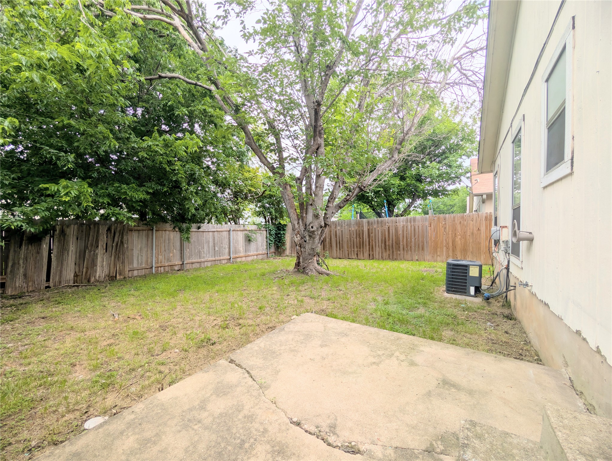 2018 Redwing Way Round Rock, TX 78664 - Photo 23 of 27 Grassed backyard featuring a mature tree, wood privacy fencing, and a concrete patio area