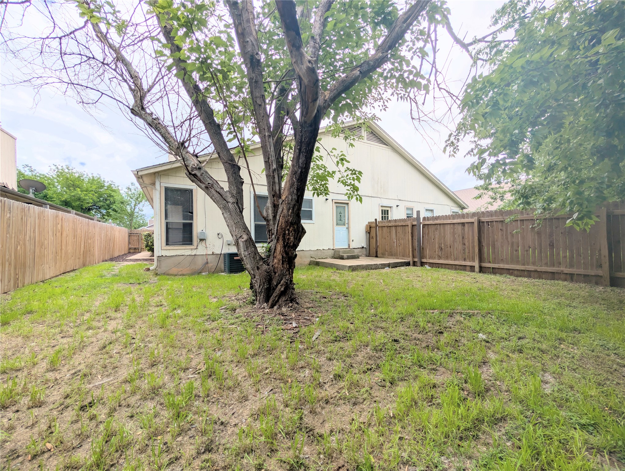 2018 Redwing Way Round Rock, TX 78664 - Photo 24 of 27 Grassed backyard featuring a mature tree, wood privacy fencing, concrete patio area, and exterior home access