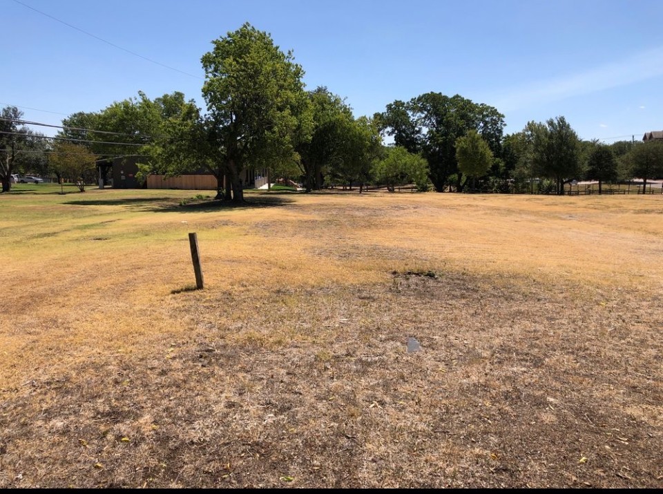 2018 Redwing Way Round Rock, TX 78664 - Photo 26 of 27 Expansive undeveloped lot featuring mature trees and a clear blue sky background