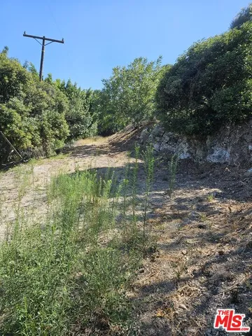 a picture of a plant with a plant