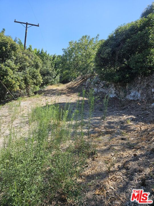 3923 Deer Avenue Sherman Oaks, CA 91423 - Photo 6 of 16